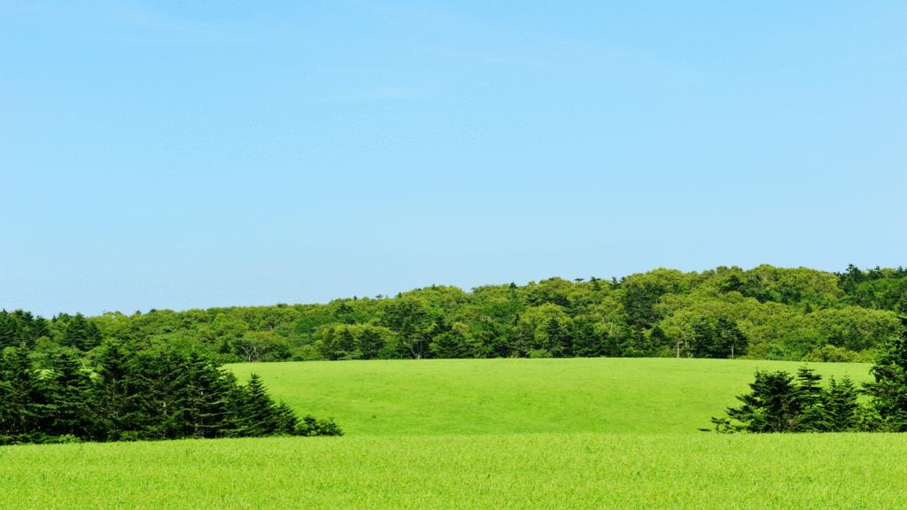 green belt UK