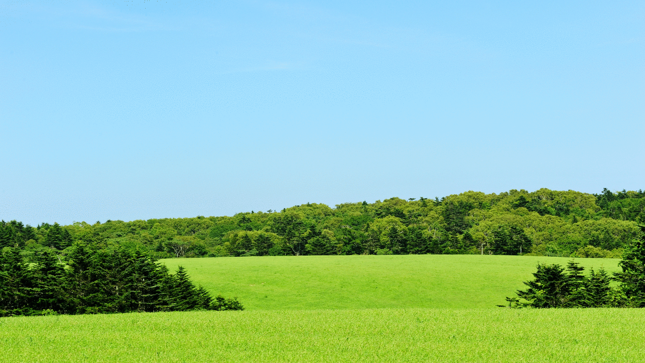 green belt UK